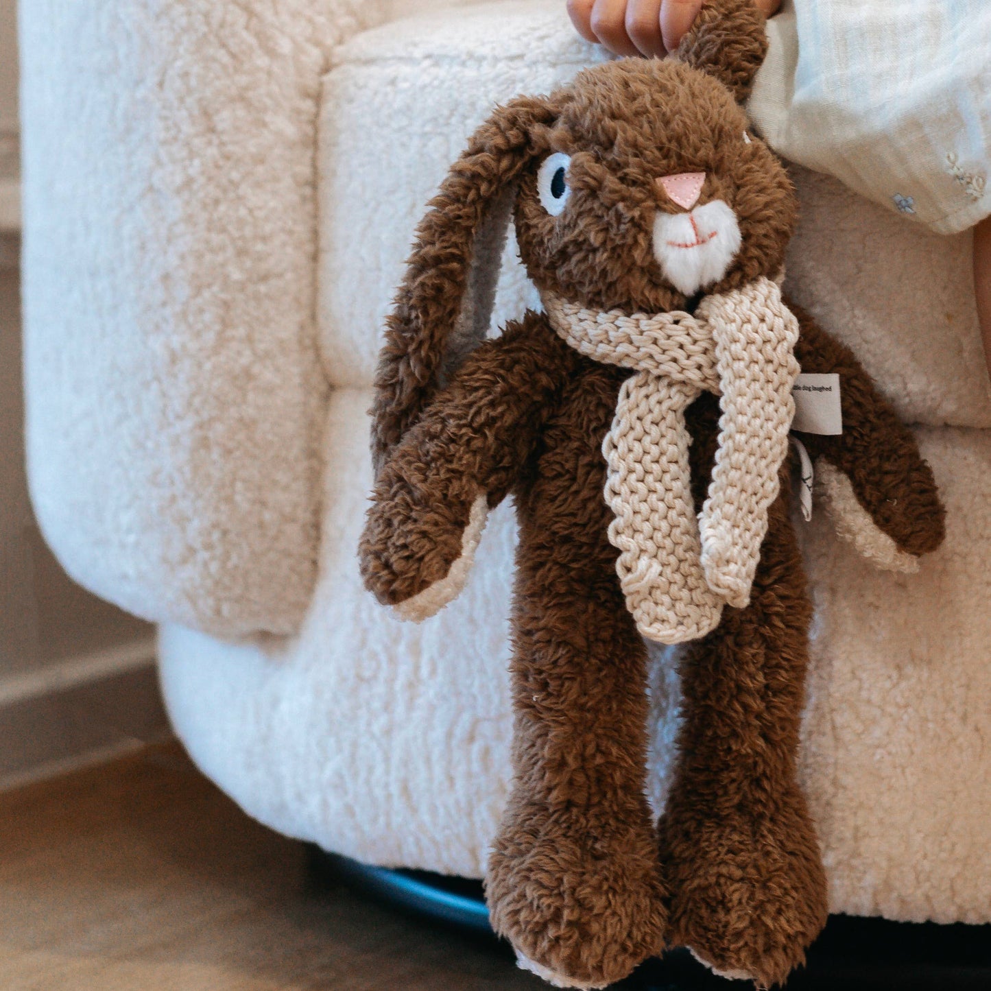 Frankie the Rabbit | Medium