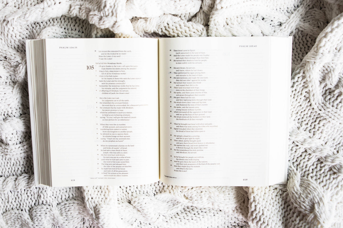 Olive Cross | ESV Journaling Bible