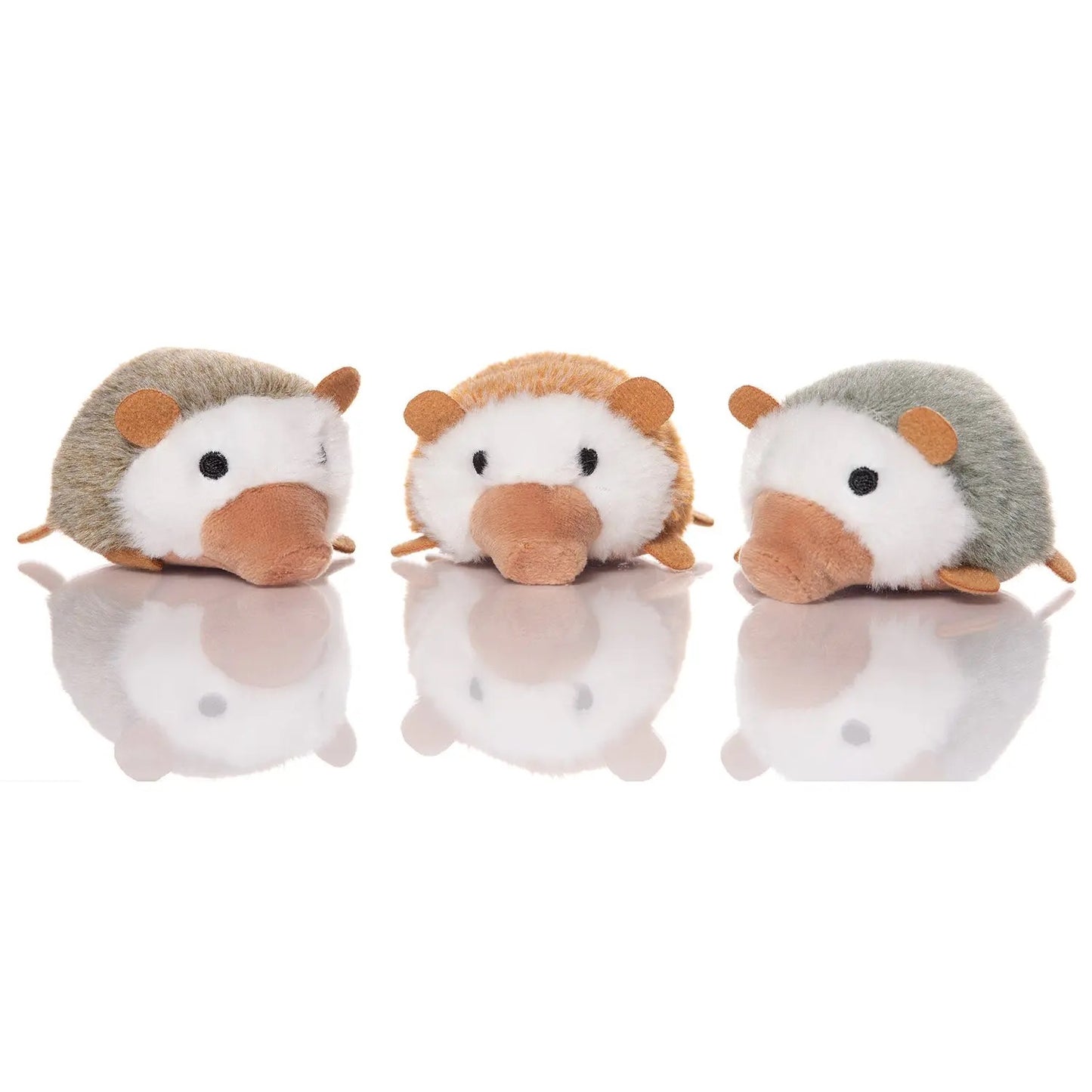 Nursing Nissa Hedghog