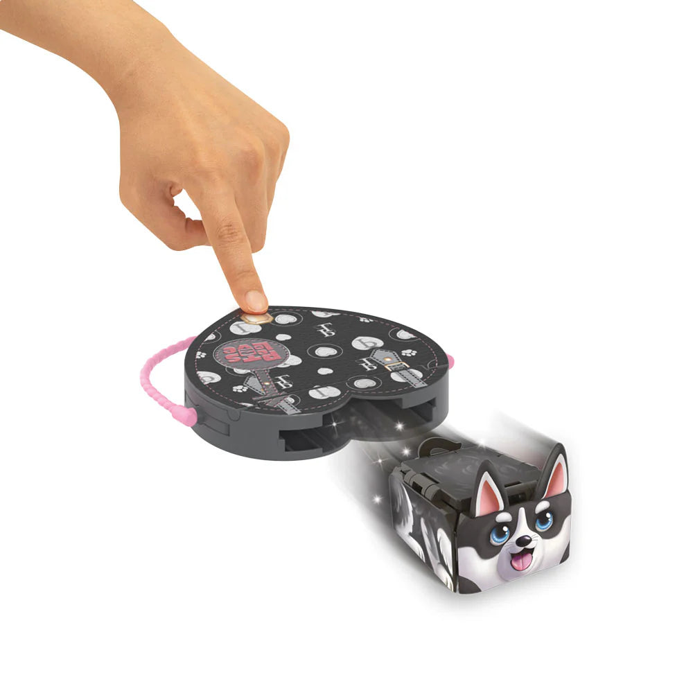 Pets 2 Love | Assorted Pets