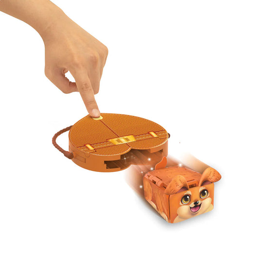 Pets 2 Love | Assorted Pets