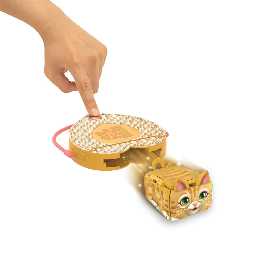 Pets 2 Love | Assorted Pets