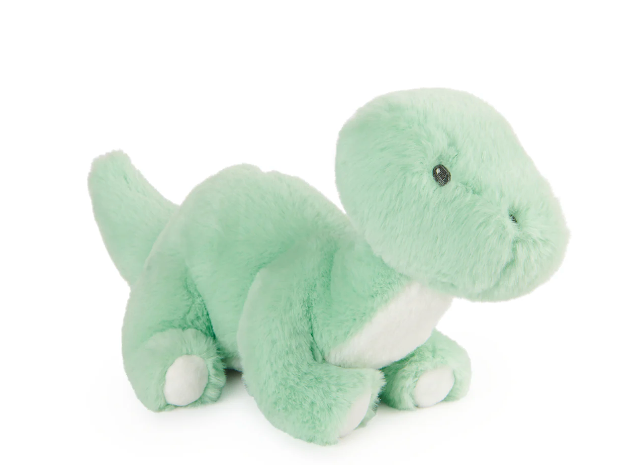 Fern the Baby Dinosaur | 10 in.
