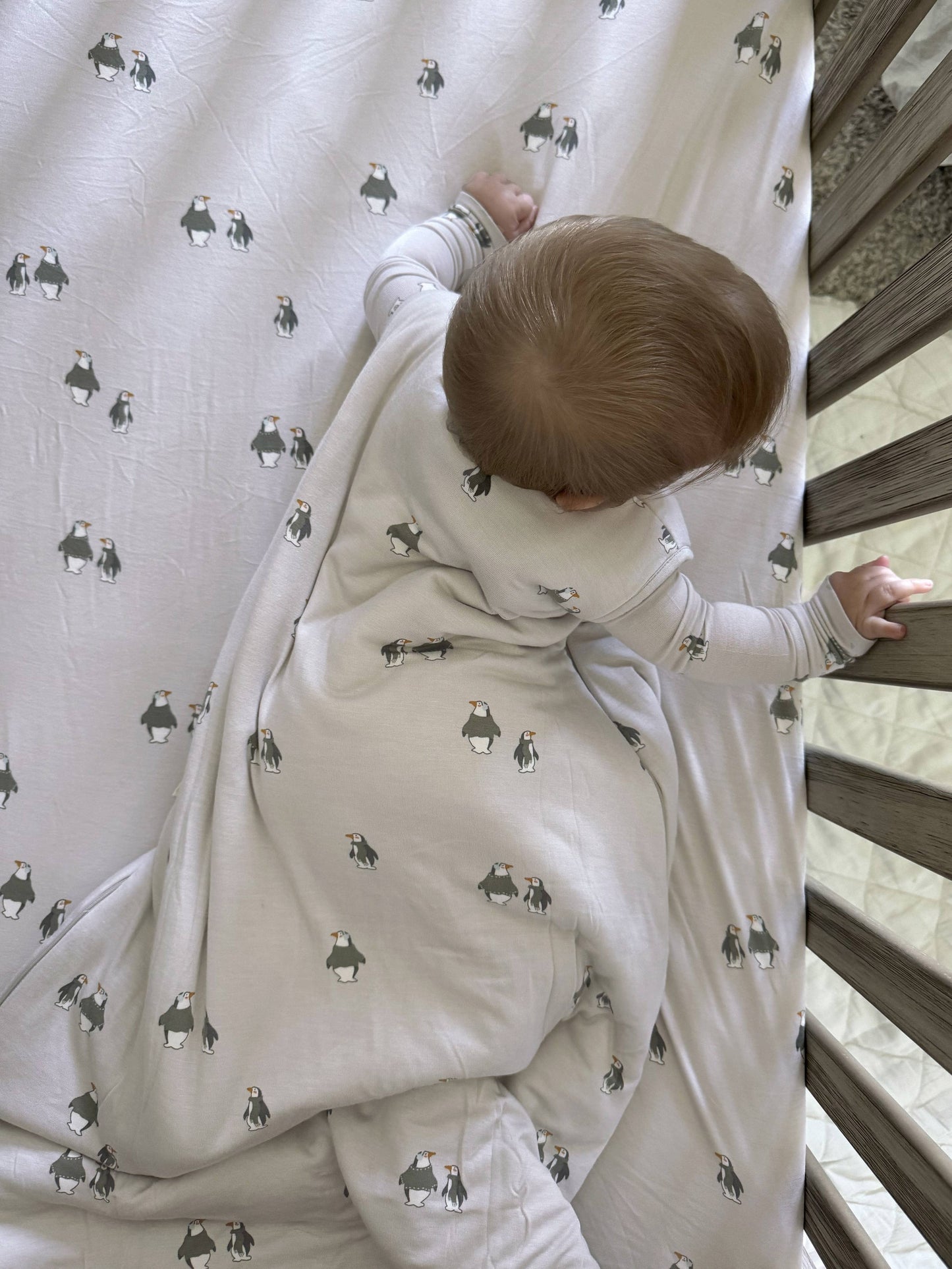 Sleep Bag | Maple | 2.5 Tog | Gunamuna