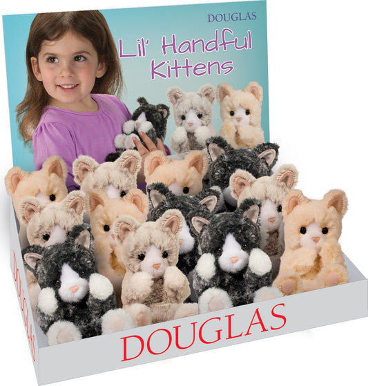 Lil’ Baby Kittens