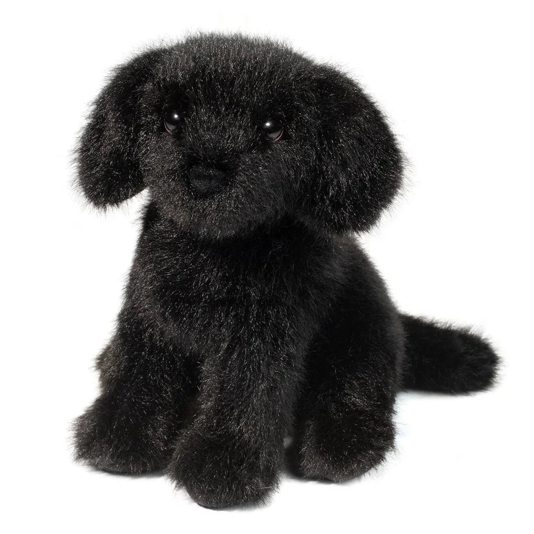 Mini Dog Assortments