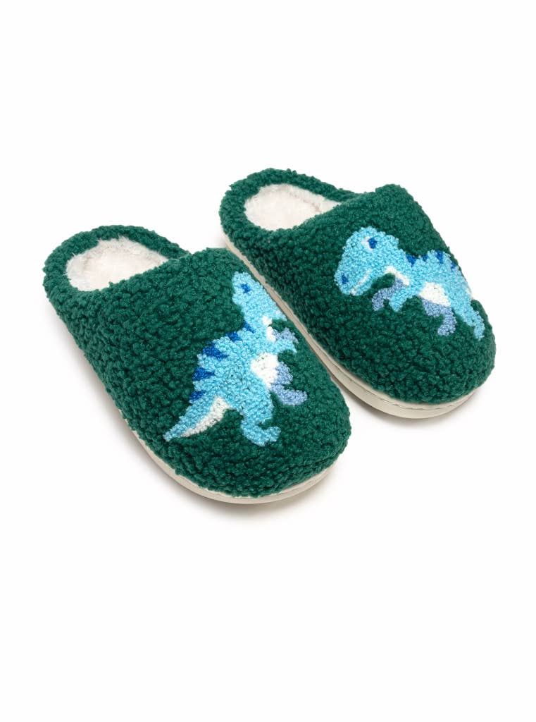 Roar like a Dino Slippers | Youth