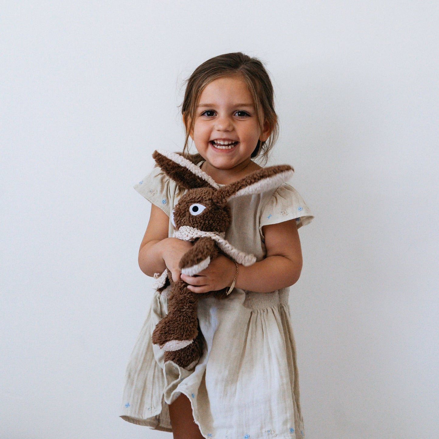 Frankie the Rabbit | Medium