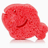 Sea Animals Spongelle | Fiona Fish