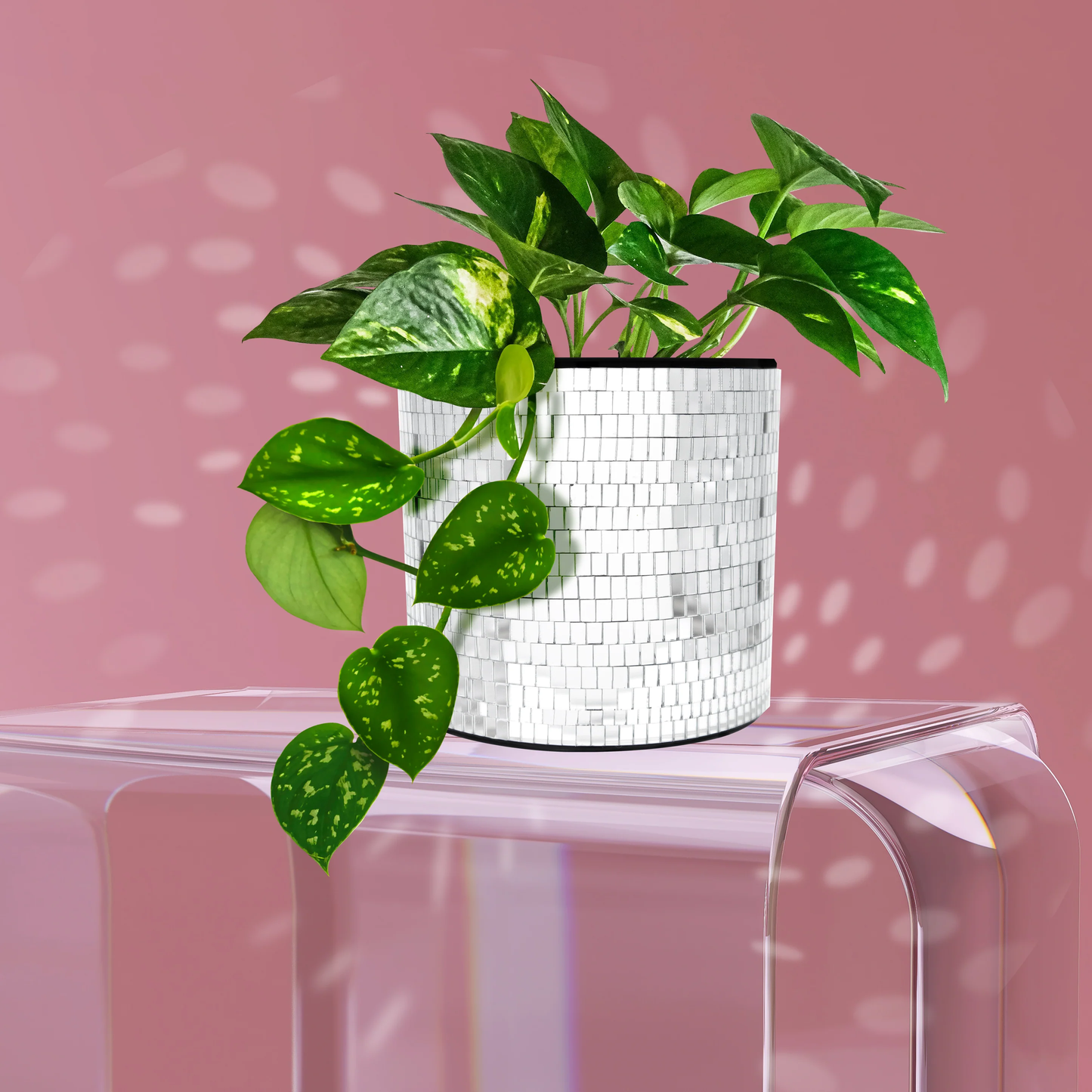 Disco Tabletop Planter