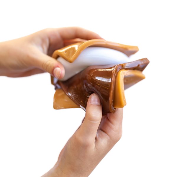 Mushmeez Taba Squishy | S'mores