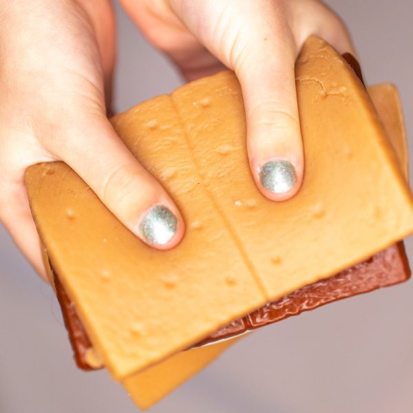 Mushmeez Taba Squishy | S'mores