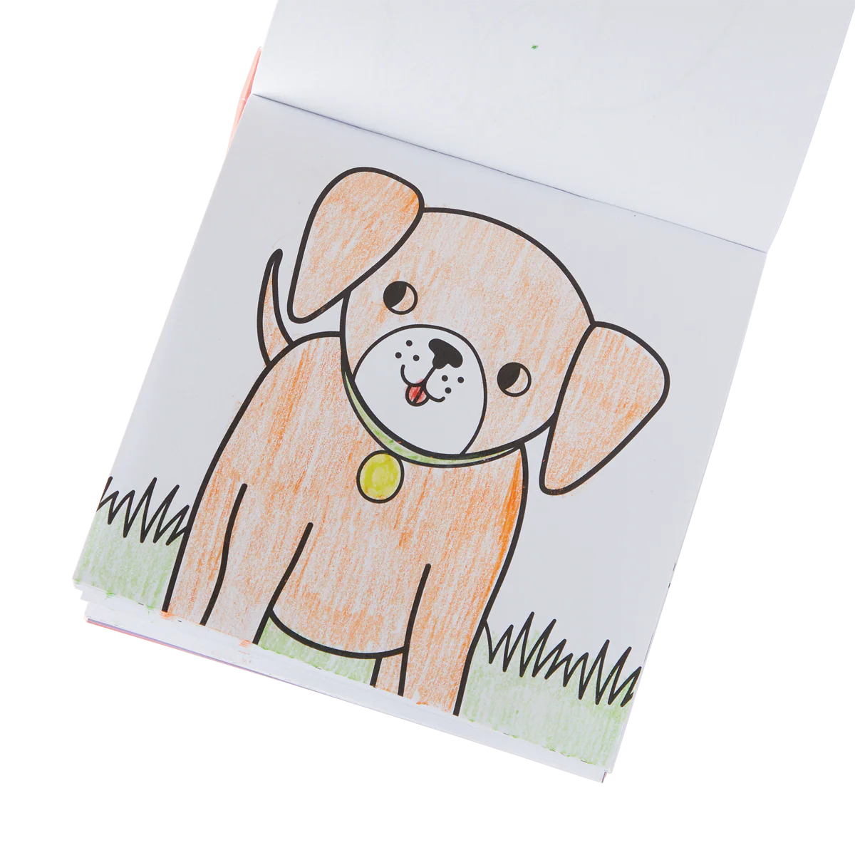 Carry Along Crayon & Coloring Book Kit - Pet Pals