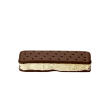 Freeze-Dried Ice Cream Sandwich | Astronaut Vanilla