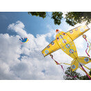 Maxi Plane Kite