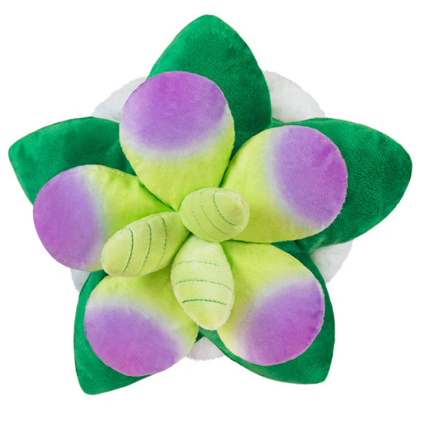 Mini Squishable Succulent 7”