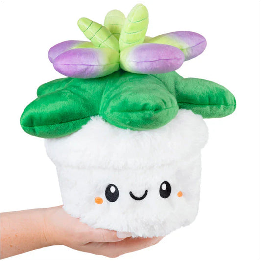 Mini Squishable Succulent 7”