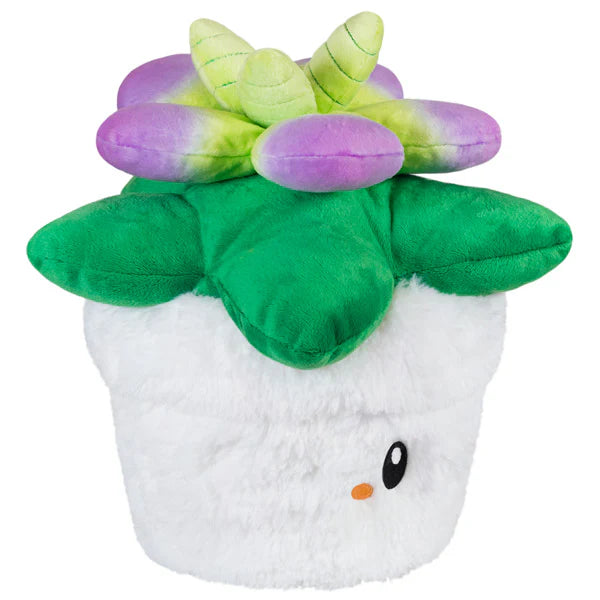 Mini Squishable Succulent 7”