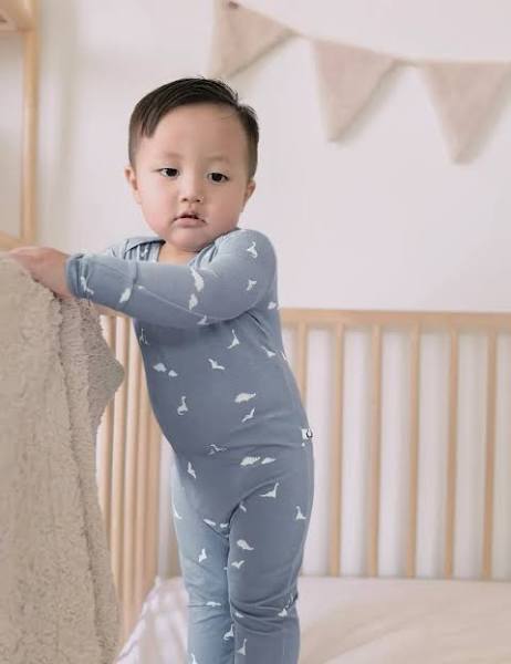 Dino Convertible Pjs | Gunamuna