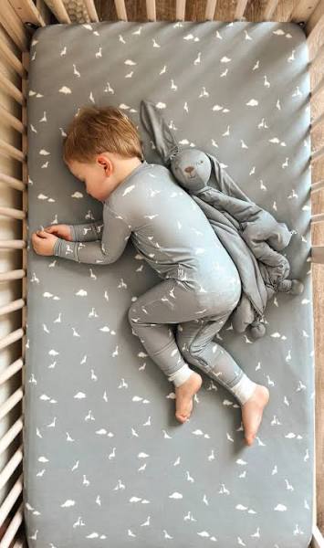 Dino Convertible Pjs | Gunamuna