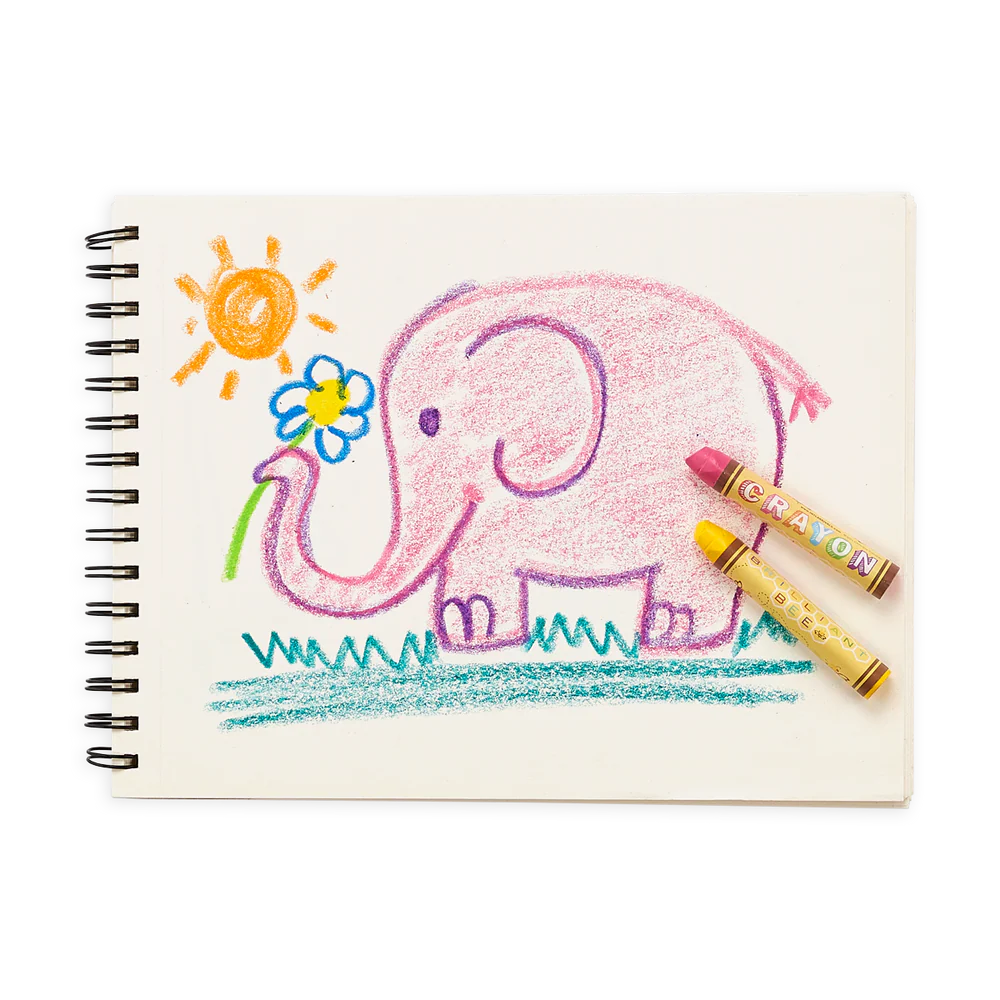 Brilliant Bee Crayons | Set of 12
