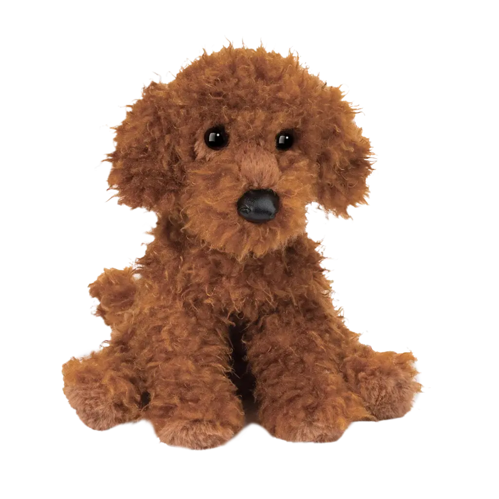 Ginger Miniature Poodle