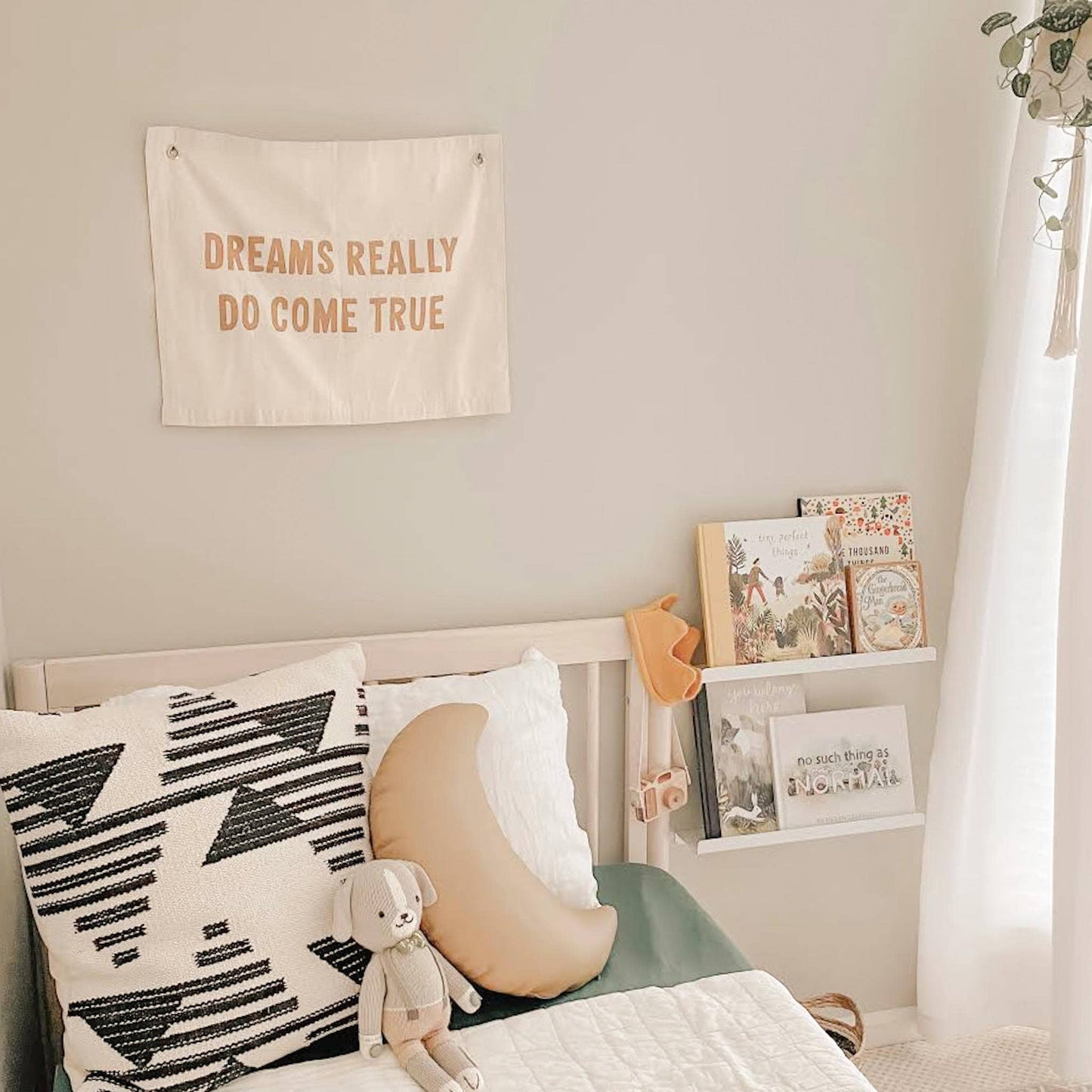 Dreams Really Do Come True Canvas Banner