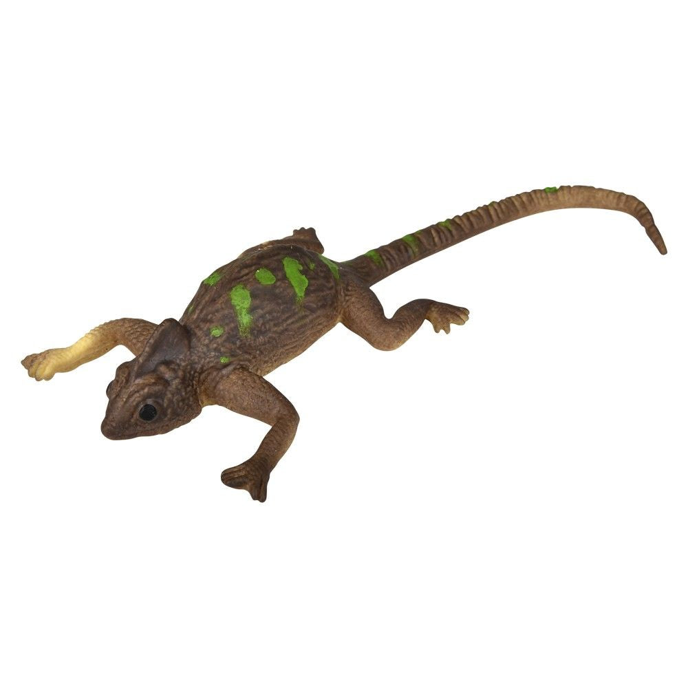Color Changing Lizard | 6”