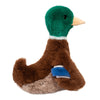 Desie Mallard Duck