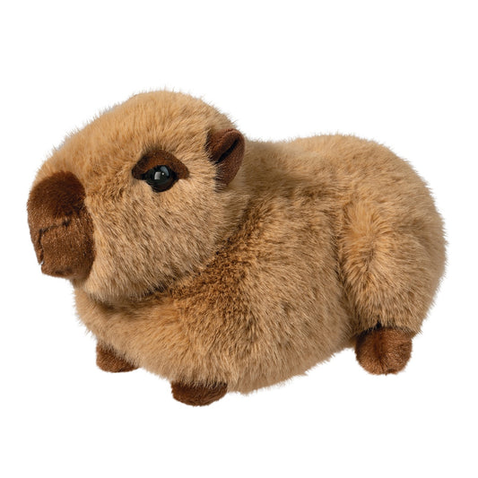 Chattie  Capybara