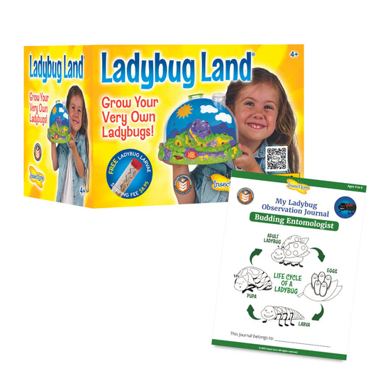 Ladybug Land with voucher