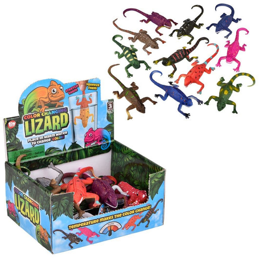 Color Changing Lizard | 6”