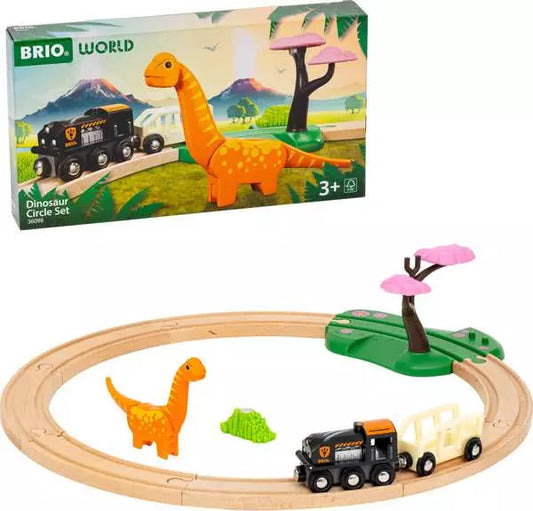 Dinosaur Circle Set