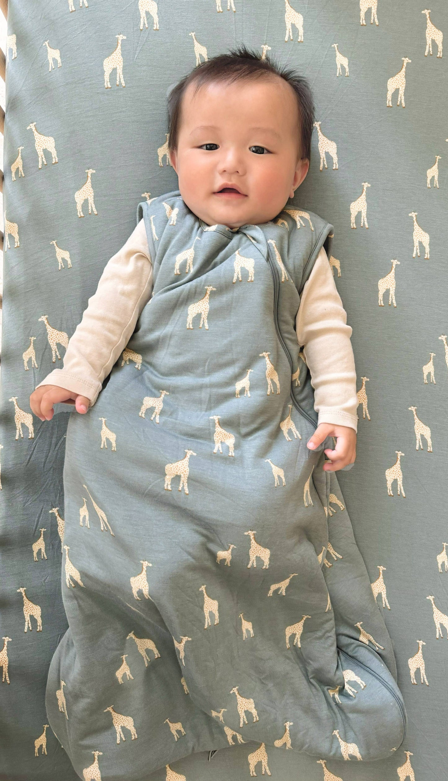 FW24 SLEEP BAG 2.5 TOG: Dainty / 3-9 months / 2.5