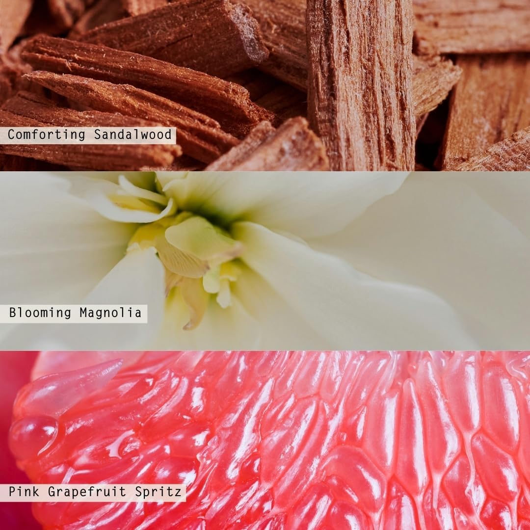 Paloma Petal Matte Ceramic Candle