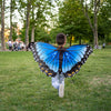 Blue Morpho Butterfly Wings