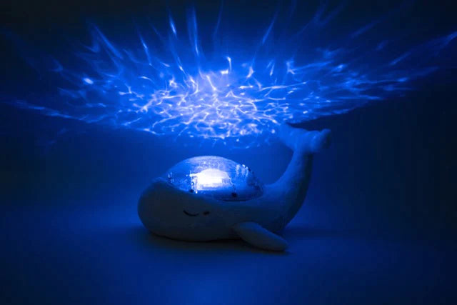 Tranquil Whale Rechargeable | Blue