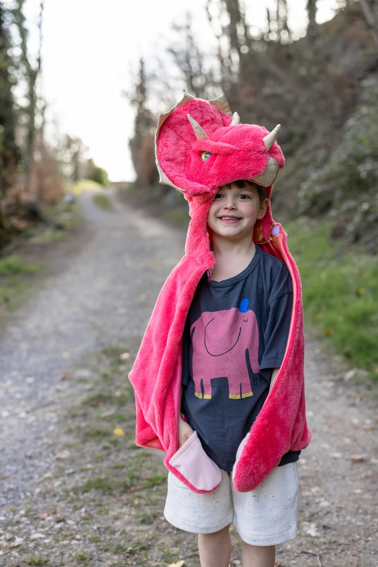 Triceratops Cuddle Cape