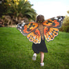 Painted Lady Orange Butterfly Wings