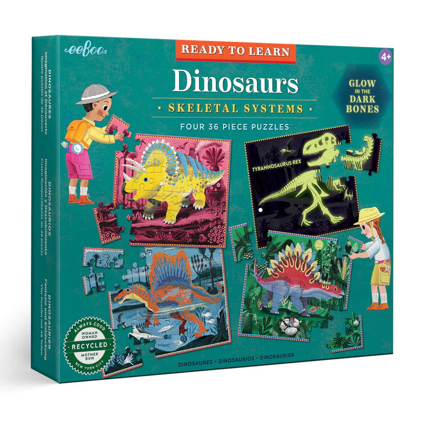 Ready to Learn - Dinosaurs 36pc Set - Glow