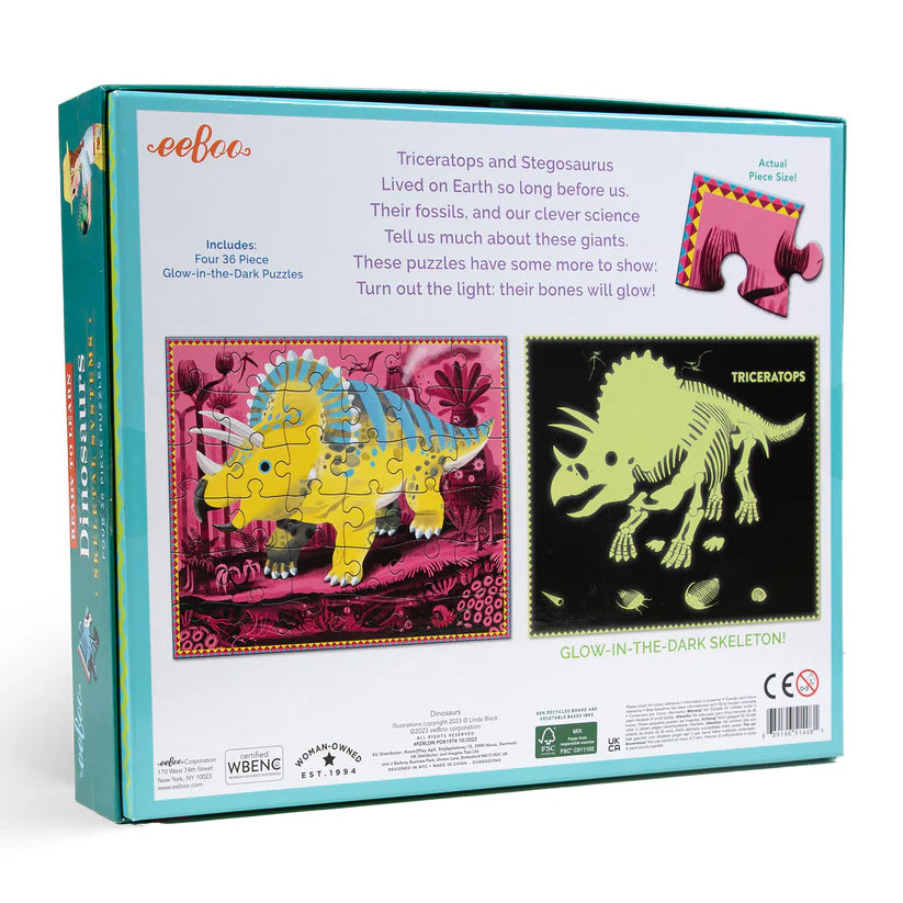 Ready to Learn - Dinosaurs 36pc Set - Glow