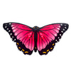 Pink Morpho Butterfly Wings