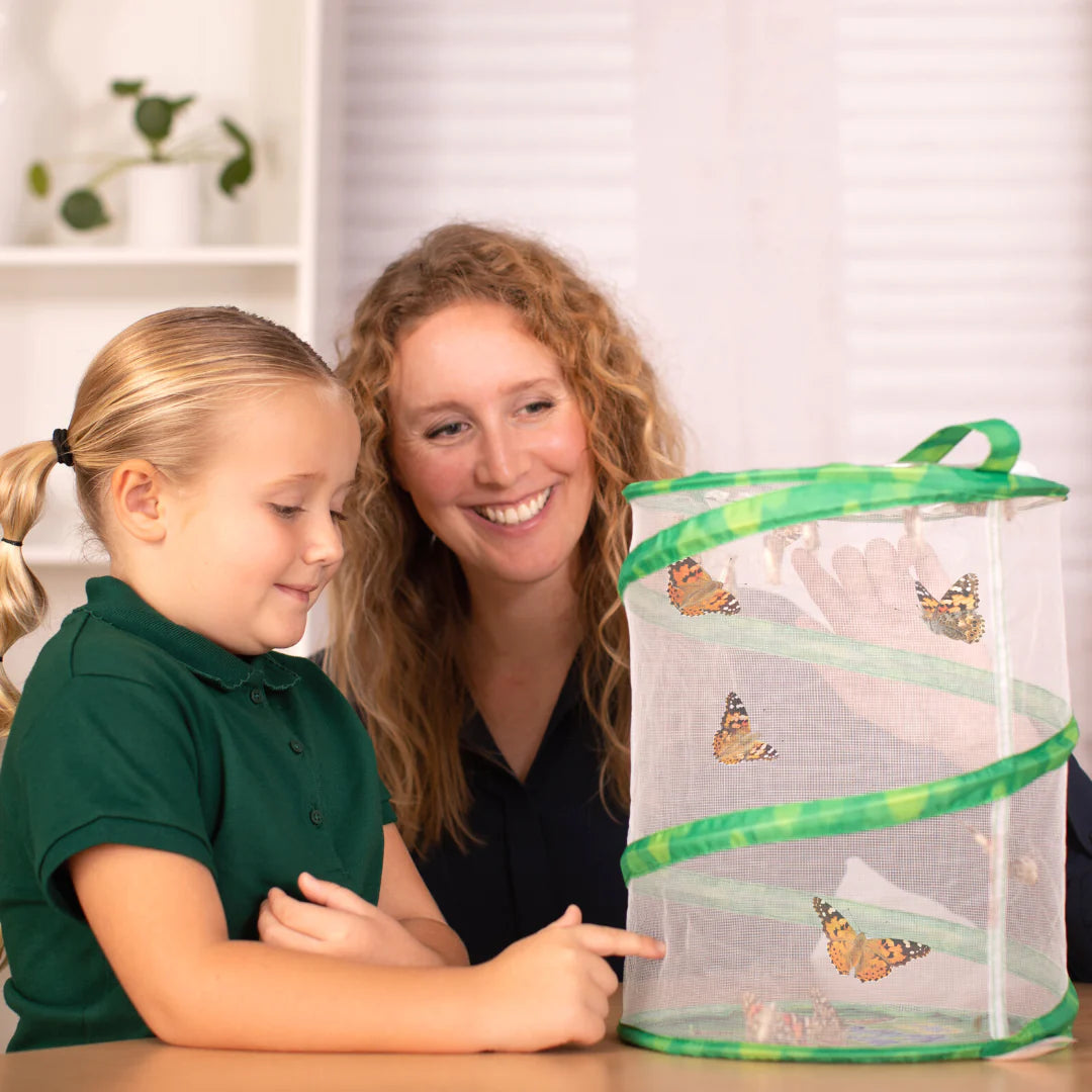 Giant Butterfly Garden with Voucher excludes Shipping