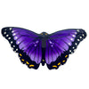 Purple Morpho Butterfly Wings