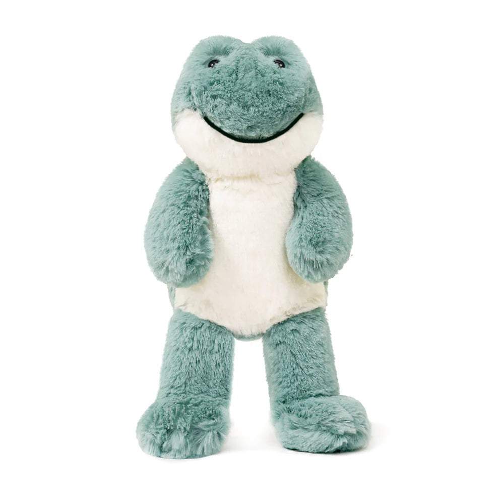 Little Freddy Frog Soft Toy