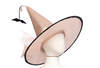 Glam Witch Hat