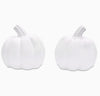 Decorate Your Own Pumpkin Kit