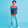 Skating Dinosaurs Plush Pants (Small (6-8))