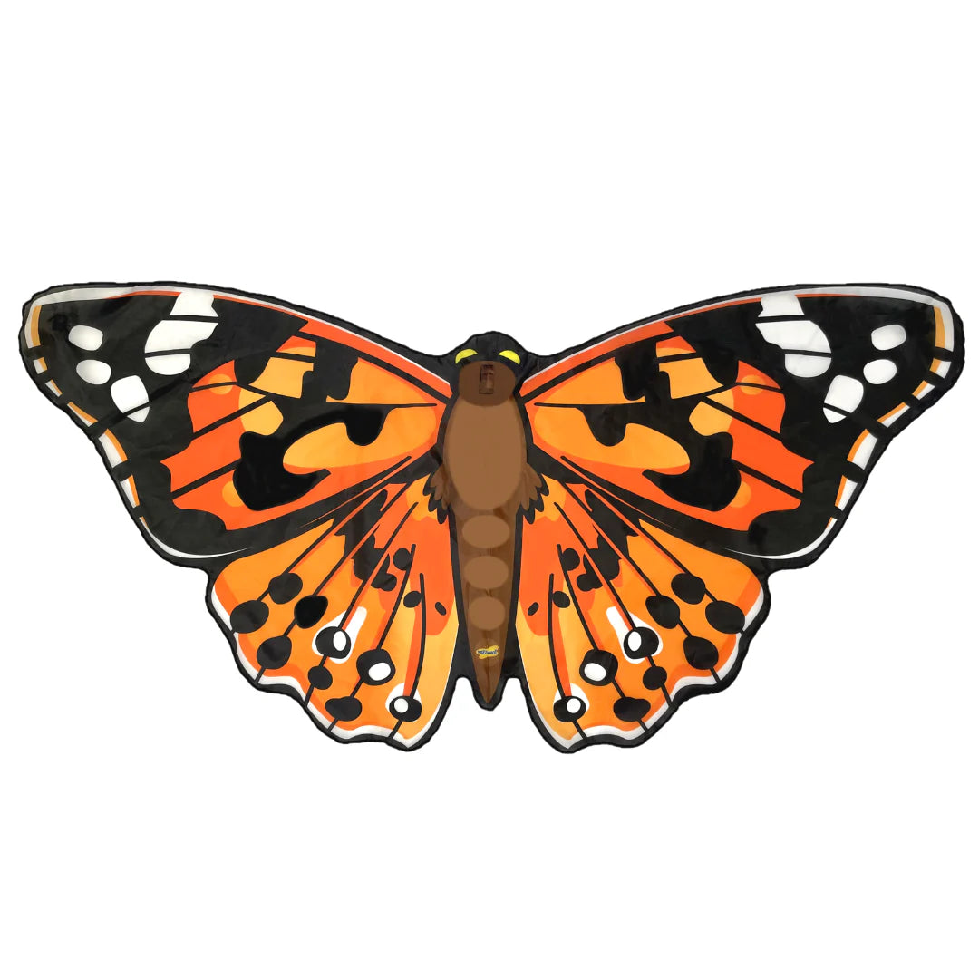 Painted Lady Orange Butterfly Wings