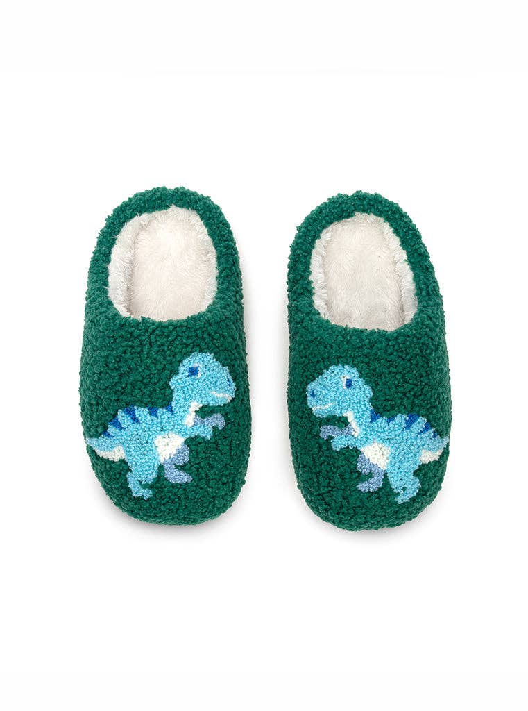 Roar like a Dino Slippers